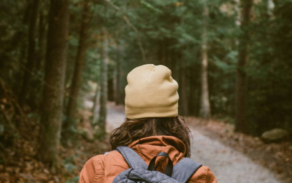 Wanderin im Wald von Hinten trägt eine Mütze und Wanderrucksack
