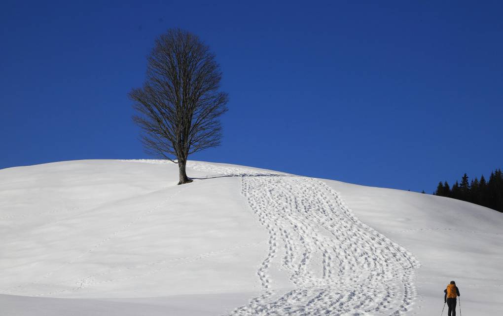 Schneeschuwanderer in Schneelandschaft und einem Baum