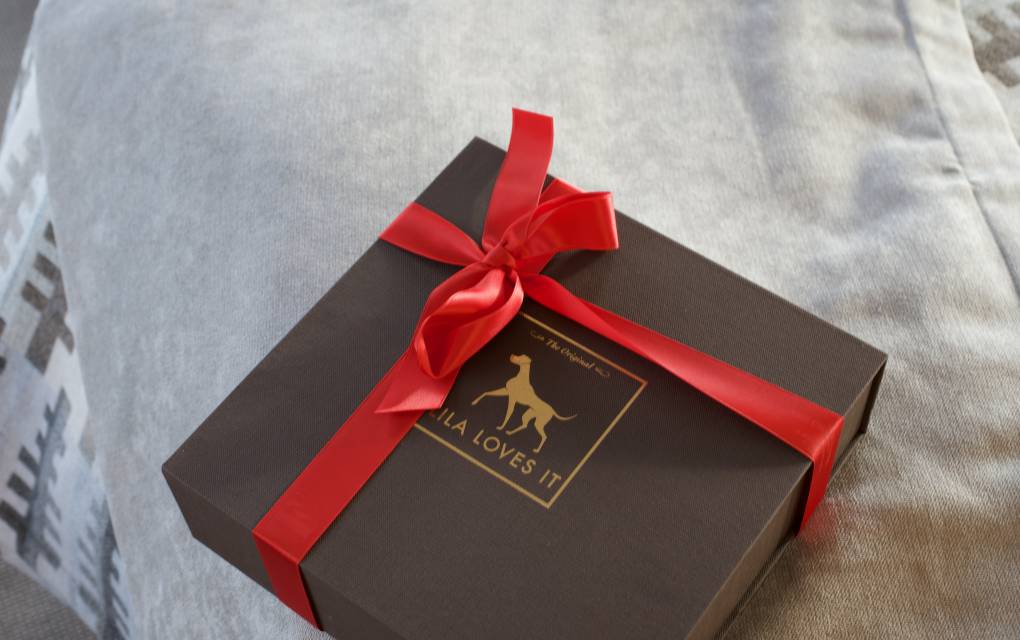 Geschenkbox mit roter Schleife auf einer Decke