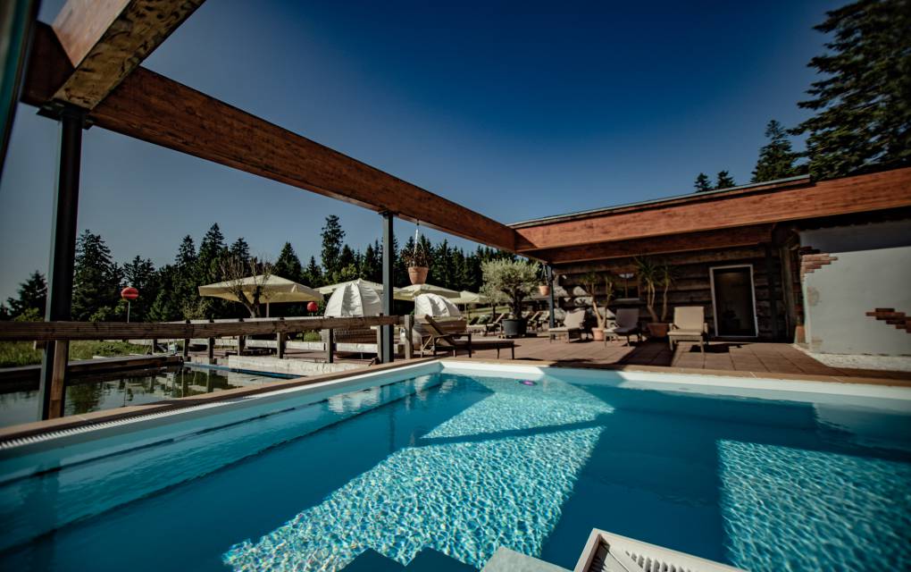 Infinity Pool. Schwarzwaldblick. Stille.: Schwerelose Auszeit - Natur- & Sporthotel Zuflucht