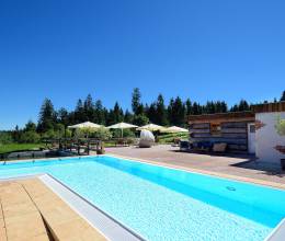 Schwimmingpool mit Liegeflächen im Schwarzwald