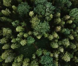 Schwarzwald in der Vogelperspektive