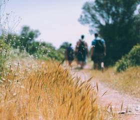 Wanderin im Wald von Hinten trägt eine Mütze und Wanderrucksack