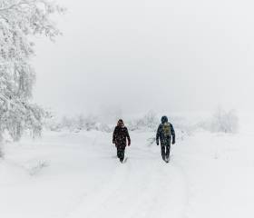 Schneeschuwanderer in Schneelandschaft und einem Baum