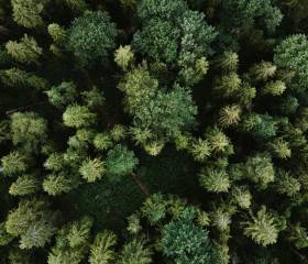 Panorama Ausblick auf den Schwarzwald