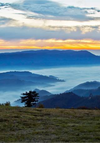 Ausblick auf den Schwarzwald im Sonnenuntergang