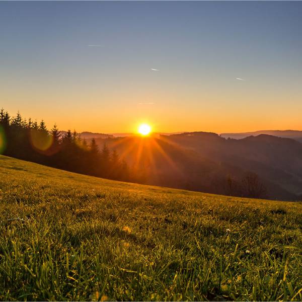 Sonnenuntergang auf einer Wiese