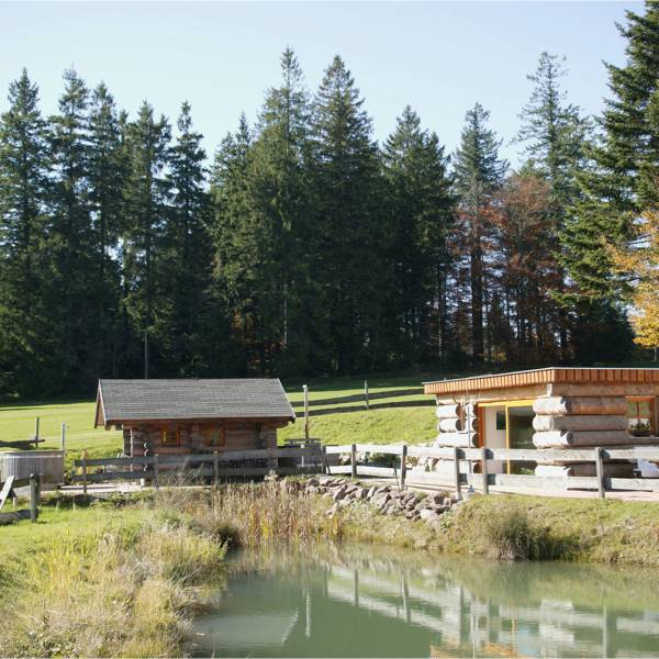 Hotelteich mit Saunazugang im Sporthotel Zuflucht