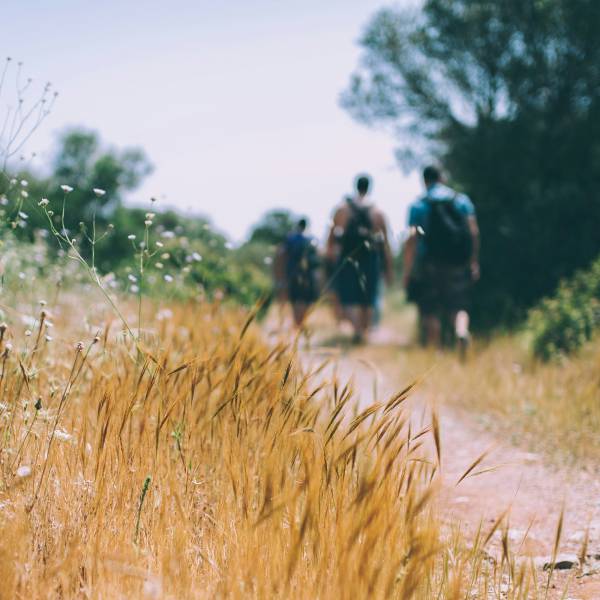 Feldweg mit Weizen und Wanderer im Hintergrund