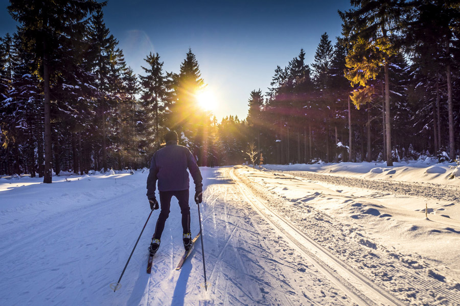 Natur und Sport Hotel Zuflucht im Schwarzwald