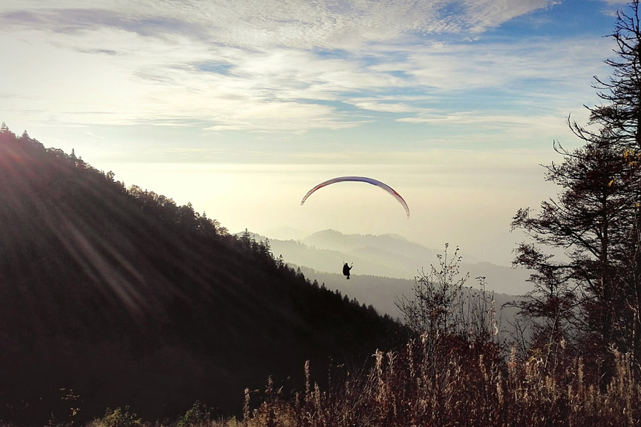 Natur und Sport Hotel Zuflucht im Schwarzwald